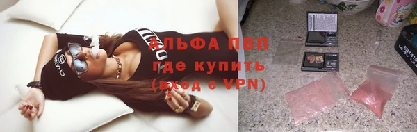 прущие грибы Абдулино