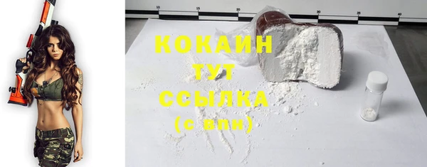 прущие грибы Абдулино