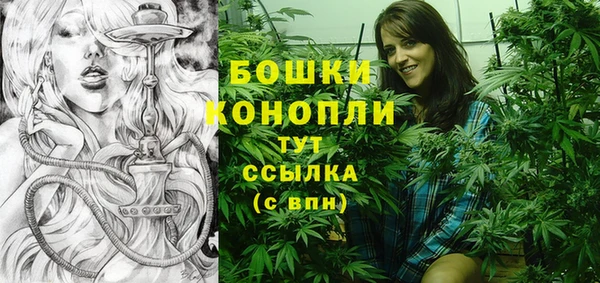прущие грибы Абдулино