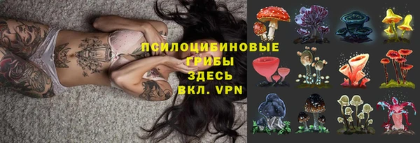 Альфа ПВП Абаза