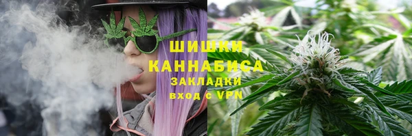 прущие грибы Абдулино